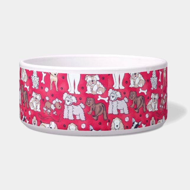 Farbiges Rot Napf (Vorderseite)