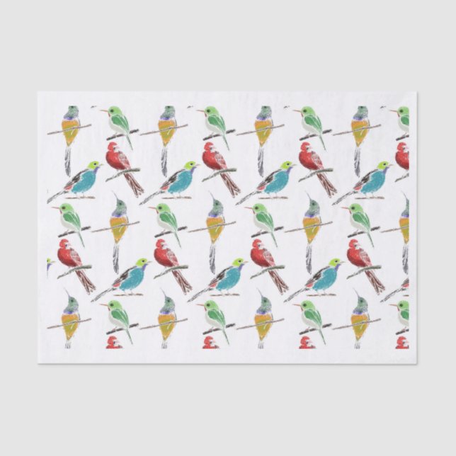 Farbiges Set des handGezeichnet Vogelmusters Seidenpapier (Vorderseite)