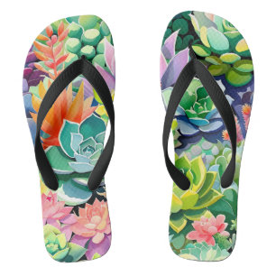 Farbintensiver Sukkulenten-Botanischer Garten im S Flip Flops