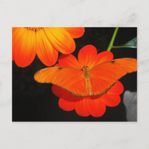 farbkoordiniert postkarte