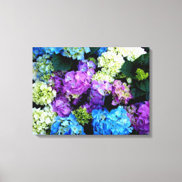 Farblich, Blume, Leinwand mit Hintergrundfarbe, Le