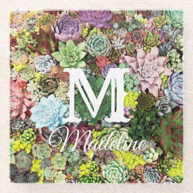 Farbliche Sukkulente Glasuntersetzer (Vorderseite)