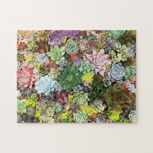 Farbliche Sukkulente Puzzle