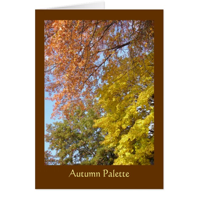 Farbpalette (Vorne)