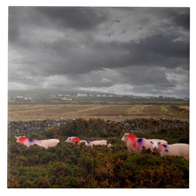 Farbschaf Fliese (Vorderseite)