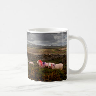Farbschaf Kaffeetasse