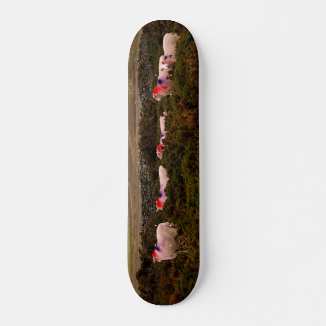 Farbschaf Skateboard (Vorne)