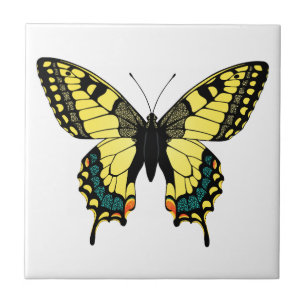 Farbschmetterling Fliese