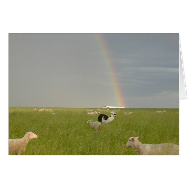 Farbschutz 2-Karte (Vorderseite (Horizontal))