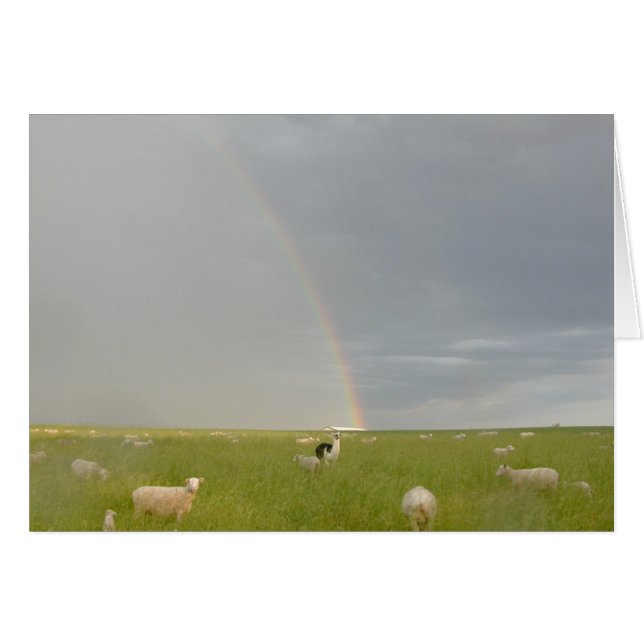 Farbschutzkarte (Vorderseite (Horizontal))