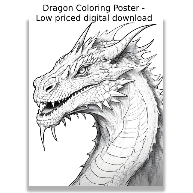 Farbseite - Drache, Farbe für sich Poster (Image showing coloring page of a dragon )
