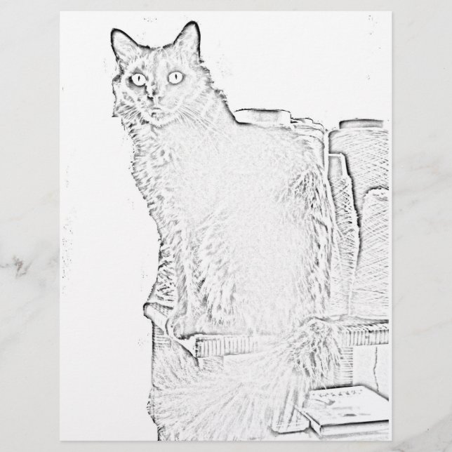 Farbseite - Katze mit Spools aus Garn (Vorderseite)