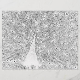 Farbseite - Pfau mit gefangenem Schwanz