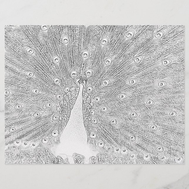 Farbseite - Pfau mit gefangenem Schwanz (Vorderseite)