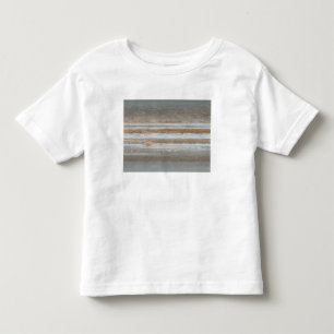 Farbtabelle für Jupiter 2 Kleinkind T-shirt