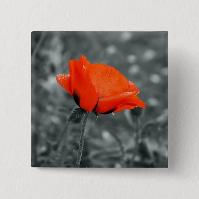 Farbtaste Poppy-Taste Button (Vorderseite)