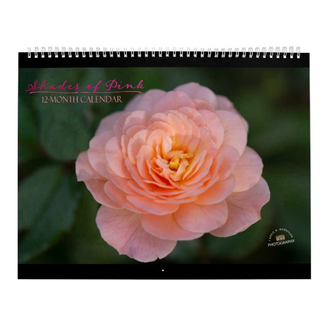 Farbtöne des 12-monatigen rosa Kalenders Kalender (Titelbild)