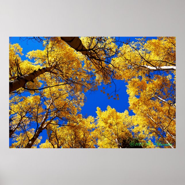 Farbträume Poster (Vorne)