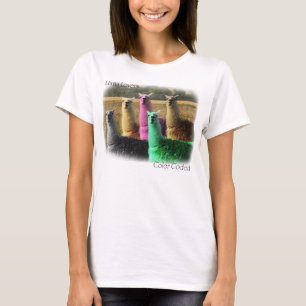 Farbunterlegte Lamas T-Shirt