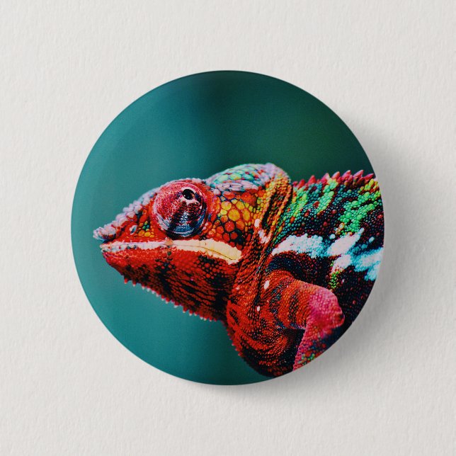Farbverändernder Regenbogenfarben-Chameleon-Reptil Button (Vorderseite)