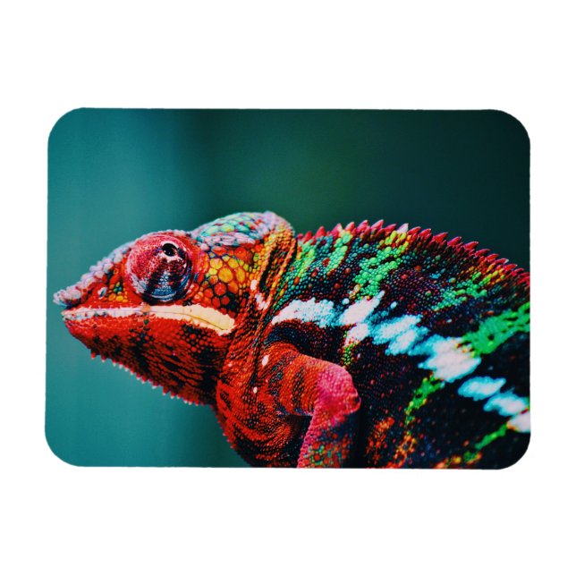 Farbverändernder Regenbogenfarben-Chameleon-Reptil Magnet (Horizontal)