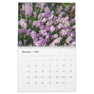 Farbzauber Lavendel Kalender