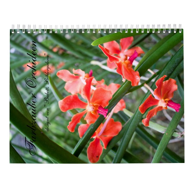 Farbzauber Orchideen Kalender (Rückseite)