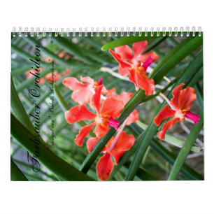 Farbzauber Orchideen Kalender