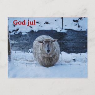 Fåret Fjun julkort Postkarte