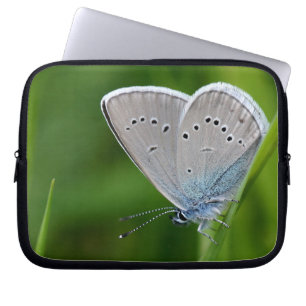 Farfalla Laptop Sleeve