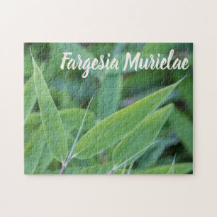 Fargesia murielae Bamboo Pflanze für Gärtner Puzzle