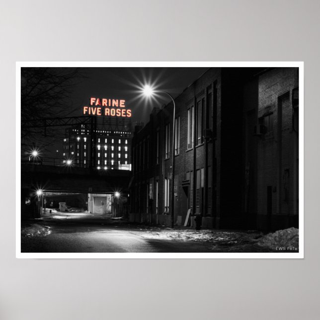 Farine Five Rose Poster (Vorne)