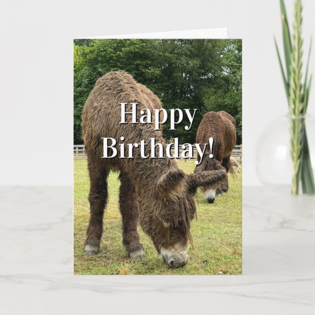 Farm Animal Donkey Cute Barnyard Funny Birthday  Karte (Vorderseite)
