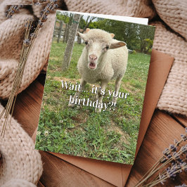 Farm Animal Sheep Cute Barnyard Funny Birthday  Karte