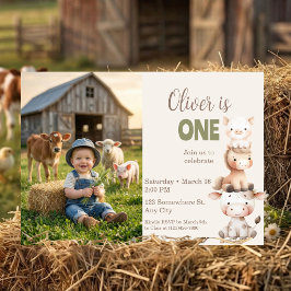 Farm Animals 1st Birthday Barnyard Baby Boy Photo Einladung