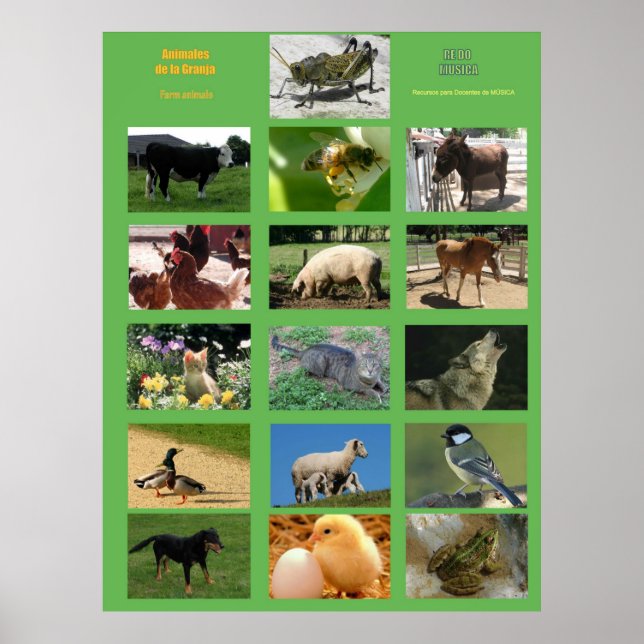 Farm Animals Poster .Animales de la granja (Vorne)