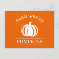 Farm fresh pumpkins