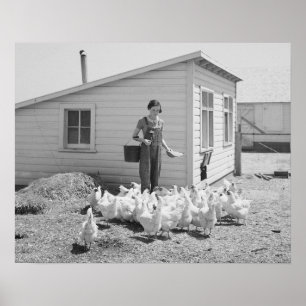 Farm Girl Feeding Chickens, 1936. Vintage Photo Poster