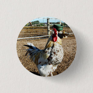 Farm-Liste, Abzeichen Button