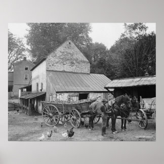 Farm Pennsylvania, 1906. Vintages Foto Poster