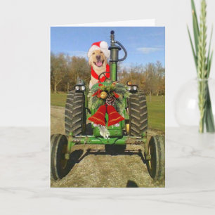 Farm segnen Weihnachten