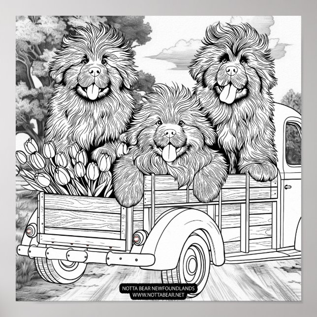 Farm truck Newfoundland Puppies with tulips Poster (Vorne)