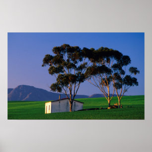 Farm Worker's Cottage And Wheat Fields, Overberg Poster