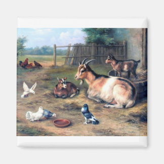 Farm Ziege Kids Tauben Magnet