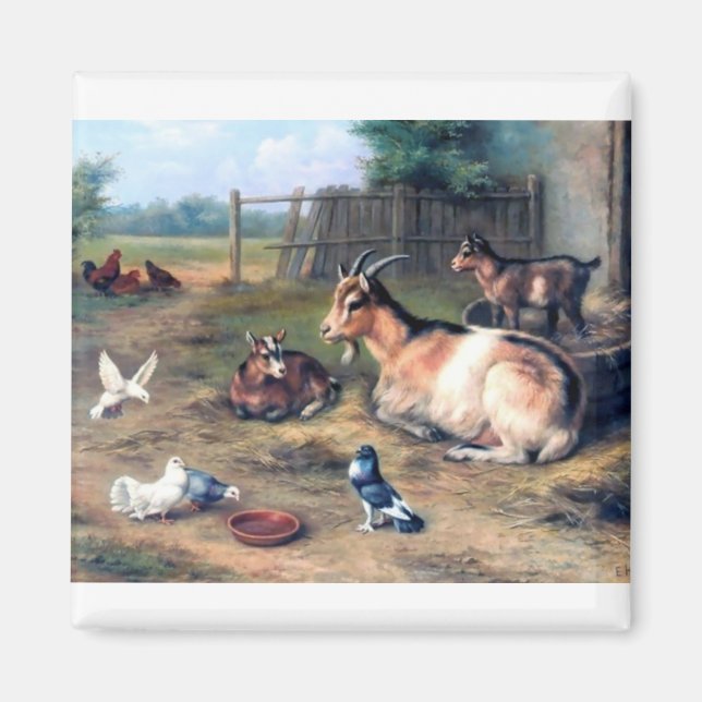 Farm Ziege Kids Tauben Magnet (Vorne)