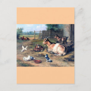 Farm Ziege Kids Tauben Postkarte