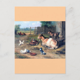 Farm Ziege Kids Tauben Postkarte