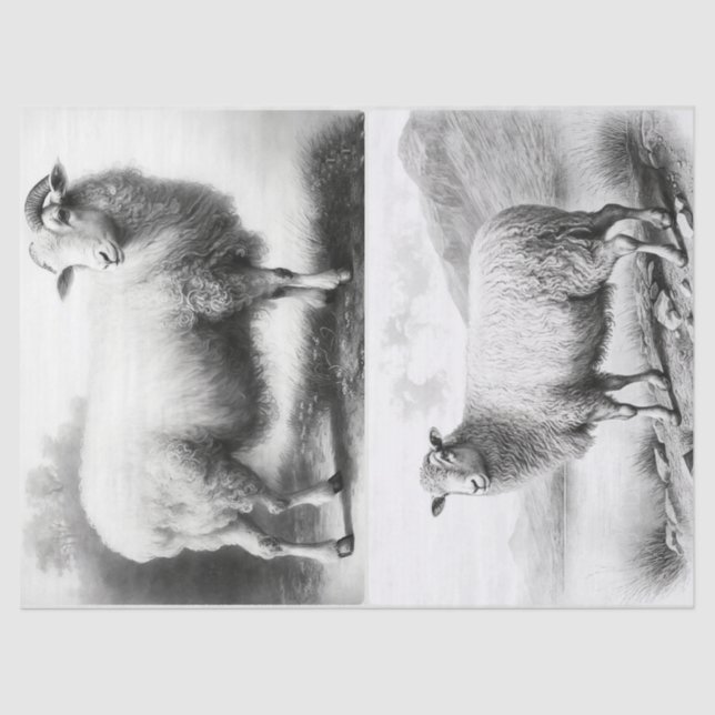 Farmhaus Schaftpapier Seidenpapier (Vorderseite)