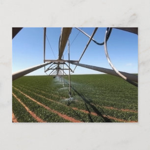 Farmland Postcard Postkarte