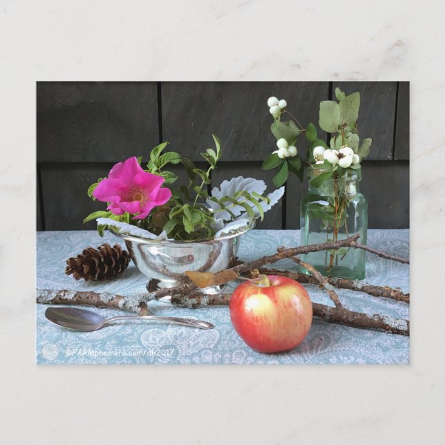 FARMphemera.com Postkarte "Antiques & Wild Rose" (Vorderseite)